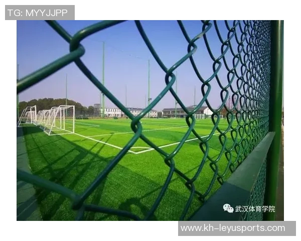 体育实时数据深入剖析武汉排球队技术特点与其他球队的全面对比分析